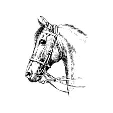 Caballista Caps & co